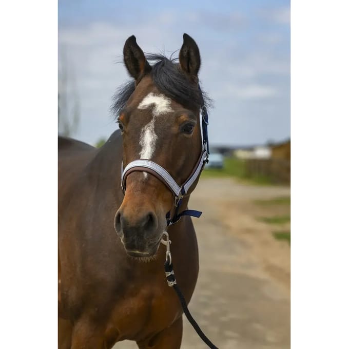 Nylon ruitjes halster Equithème