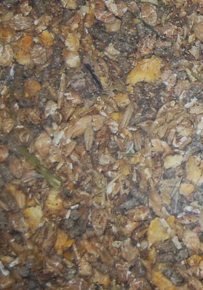 Eckhardt Kalvermuesli 20KG