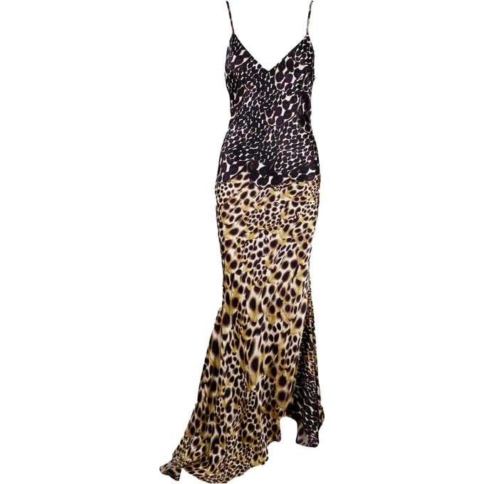 Roberto Cavalli Dierenprint Lange Jurk - '00s