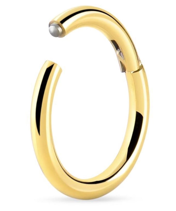Goudkleurige Titanium Segment Ring 8 mm (1,2 mm dik) met Scharnier – RH-Jewelry [High Quality Piercing]