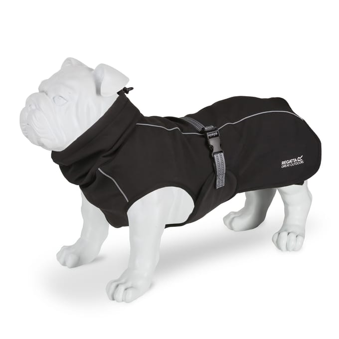Regatta Softshell hondenjas (Zwart)