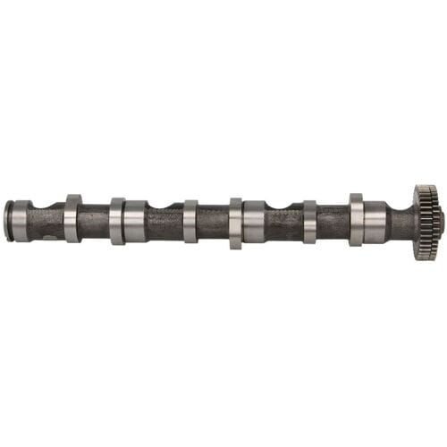 Nokkenas  FRECCIA CM05-2187