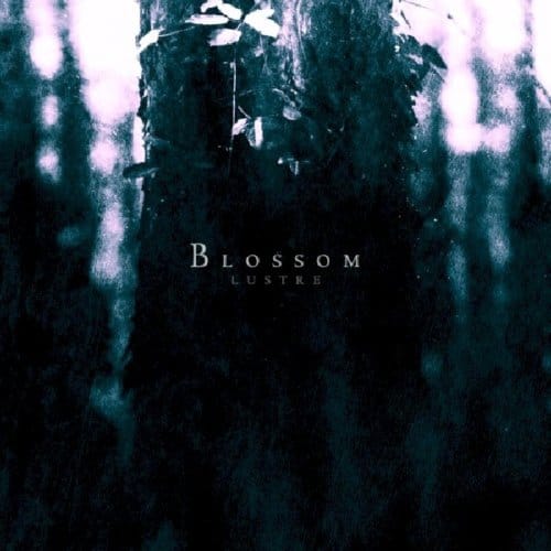 Blossom - Lustre