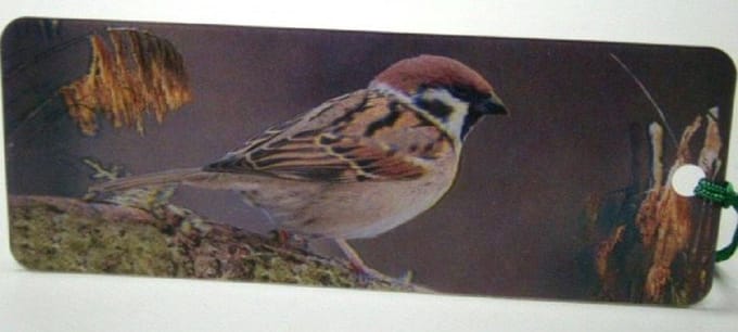 Geharo 3D Boekenlegger Mus – Met Kwastje – Vogels