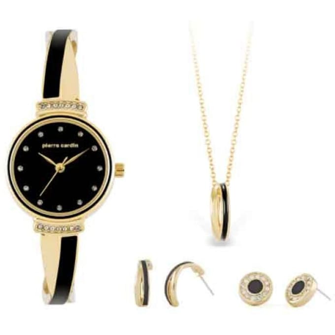 Pierre Cardin Gift Set Watch & Necklace & Earrings PCX6855L297