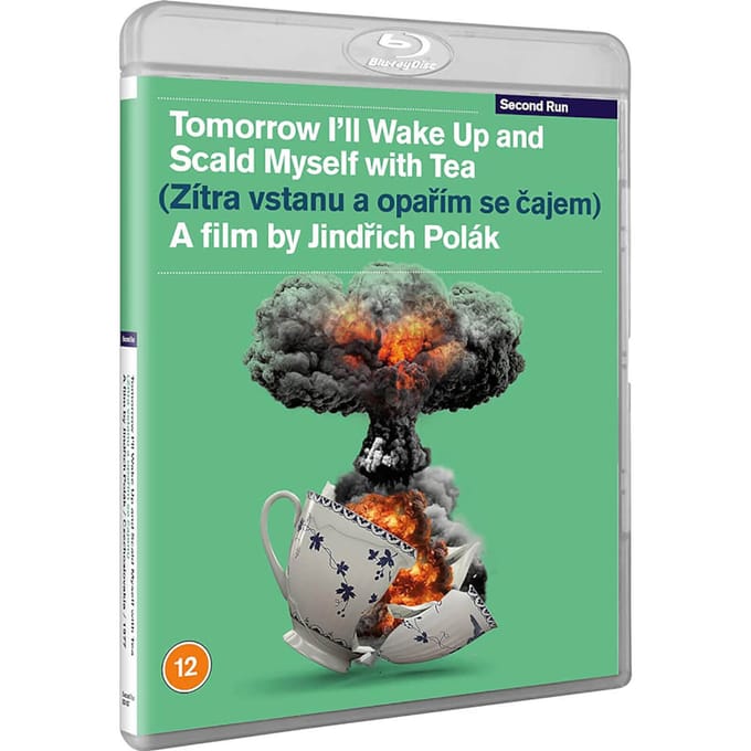 Tomorrow I'll Wake Up and Scald Myself with Tea