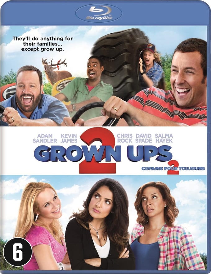 Grown Ups 2 (Blu-ray)