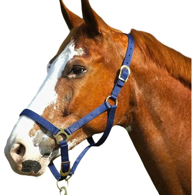 Halster met gespen Norton