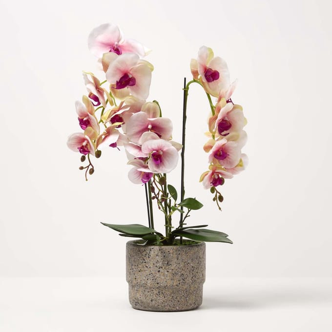Homescapes Roze en witte kunst Phalaenopsis orchidee in lichtgrijze cementpot, 64 cm