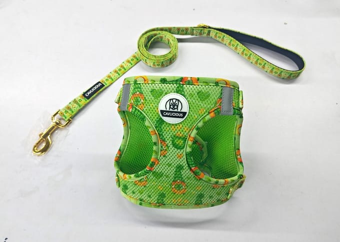 Cavlicious® AirMesh hondentuigje met leiband set - kleine hond - Celtic -L