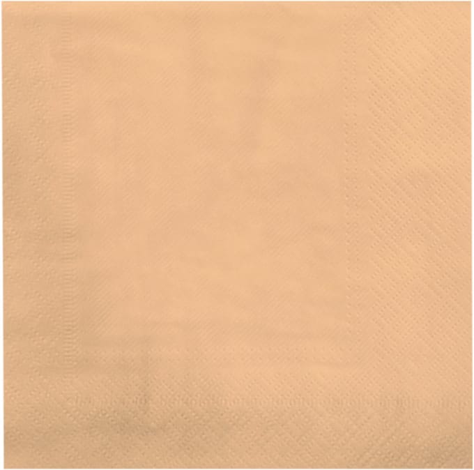 Servetten - papier - pastel oranje, 16,5x16,5cm - Feestjecreatief