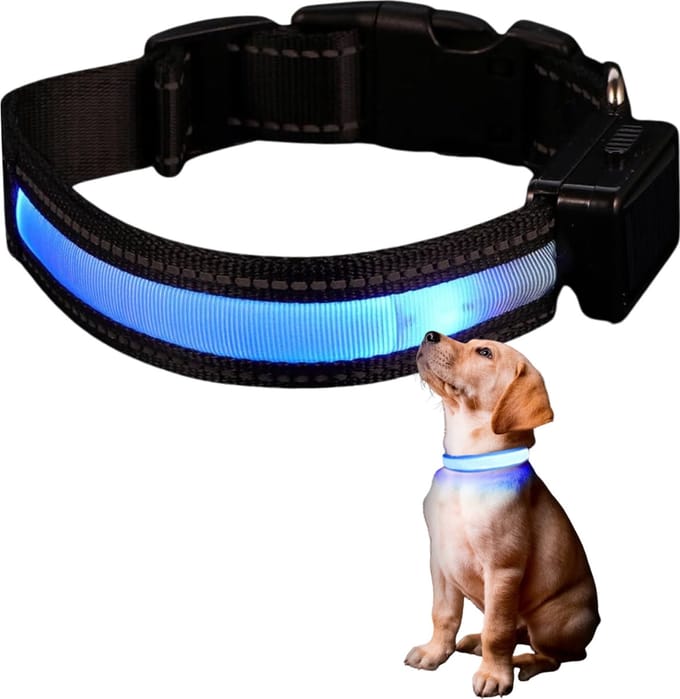 Pet Safety Glow LED-Hondenriem USB-Oplaadbaar Veiligheidshalsband - Medium 35.5 - 48.5 cm - Blauw