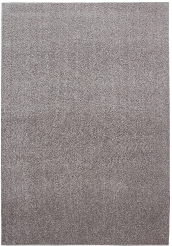 Ata Vloerkleed – Beige – Laagpolig met Vilt Onderkant