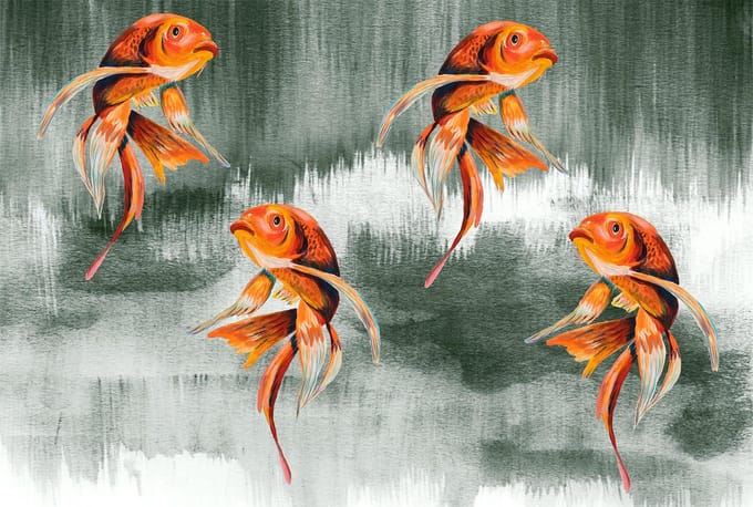 Behang staal Koi Fish Art groen grijs