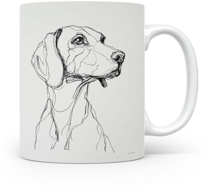 Beker Harrier