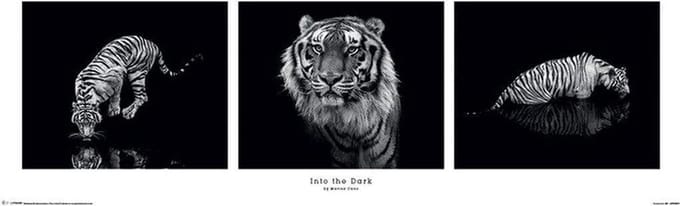 Marina Cano Into The Dark Poster 30.5x91.5cm