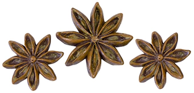 HOBI - 6 stervormige anijs hars decoraties 3 en 2,5 cm voor tafel