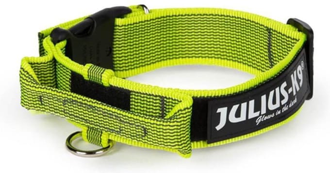 Julius K9 halsband Geel 38-53 cm 40mm
