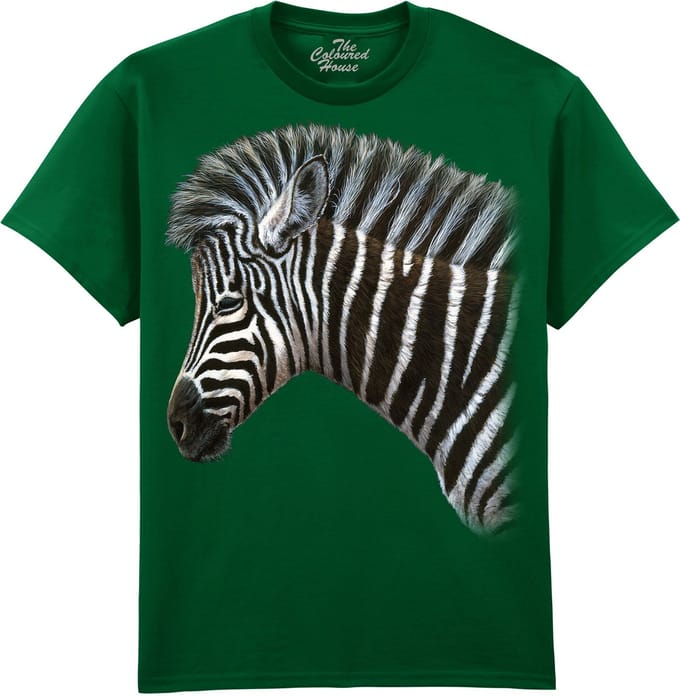 Zebra Foal The Coloured House T-shirt S