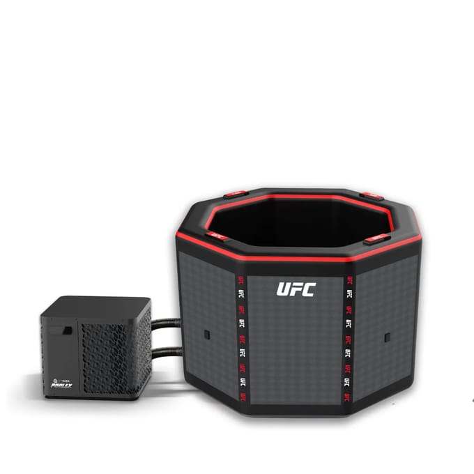 Octagonale IJsherstelbad met Koelers en Trappen NetSpa UFC Ospa 5