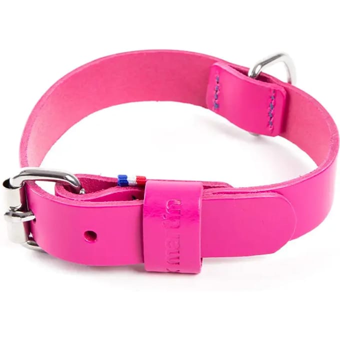 Bicolore leren hondenhalsband Martin Sellier 499