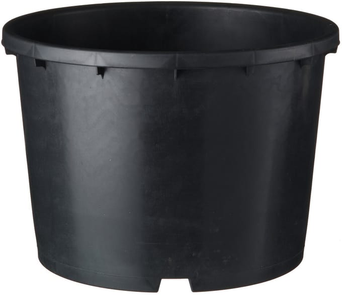 Nature Ritzi Container Zwart - Kweekbenodigdheden - H25.5 x Ø32 cm
