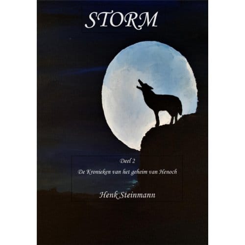 Storm - Kronieken Van Het Geheim Van Henoch - Henk Steinmann