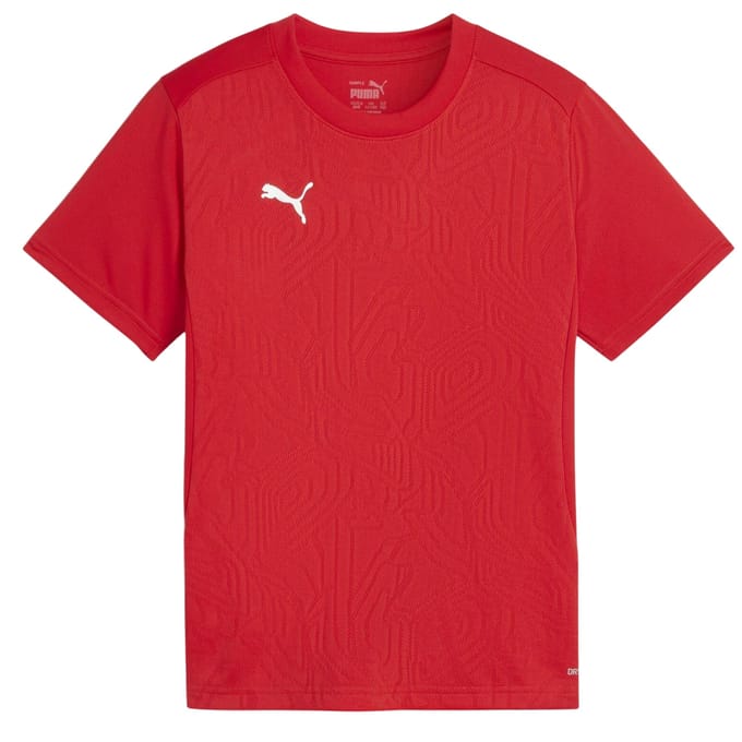 Puma Kinderen/Kinderen TeamFinal Performance T-shirt (Rood)