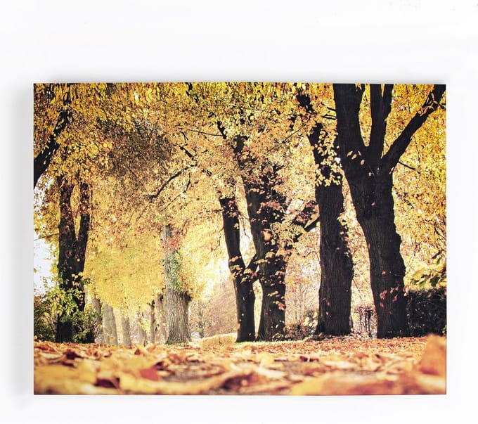 Art for the Home Herfst Canvas 75x100cm