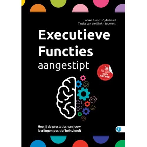Executieve Functies Aangestipt - Hoe Dan? Serie - Tineke van der Klink-Bouwens