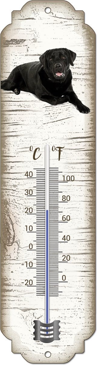 Thermometer: Labrador zwart | Hondenras | Temperatuur binnen en buiten | -25 tot +45C