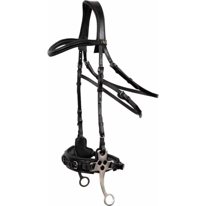 Anatomische hoofdstellen BR Equitation Lydney