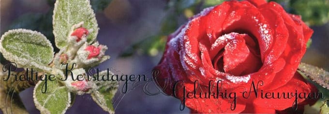 Dubbele Kerstkaarten met Winteraanzicht 6 - 10 stuks
