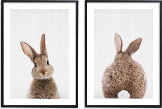 No Filter Poster - Konijn - Kinderkamer Dieren – 2 stuks - 21x30 cm