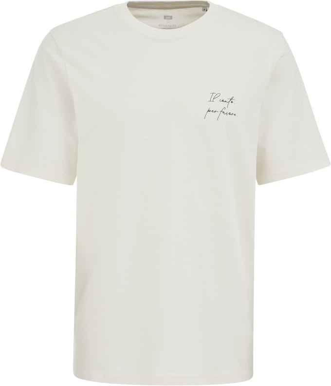 WE Fashion Heren regular fit T-shirt met print