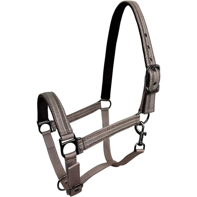 Halster voor paarden York Karmen
