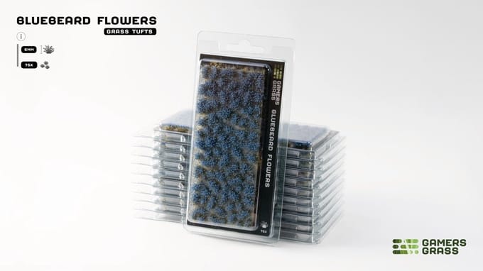 Bluebeard Flowers