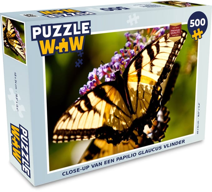 Puzzel Close-up van een papilio glaucus vlinder - Legpuzzel - Puzzel 500 stukjes