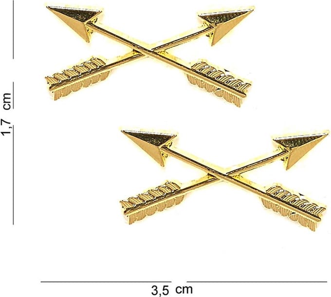 Embleem metaal Crossed arrows pin