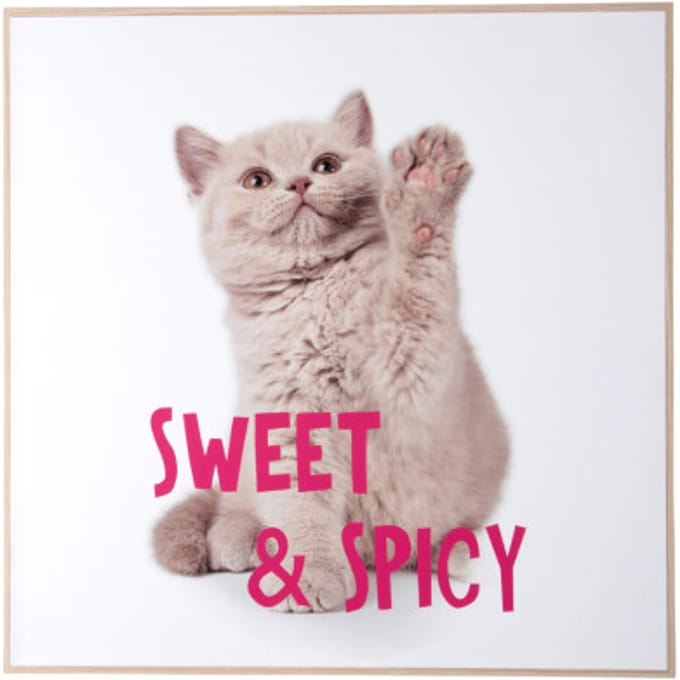 Present Time - Wall Art Kitten Sweet & Spicy - Multicolor