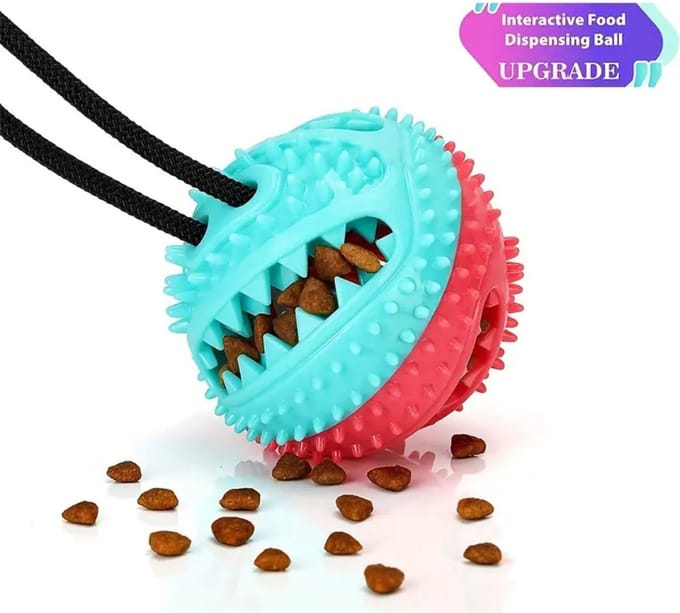Nivard Honden Speelgoed - Hond - Speelgoed - Dog Toy - Hondenbal - Snacks - Wit/Rood