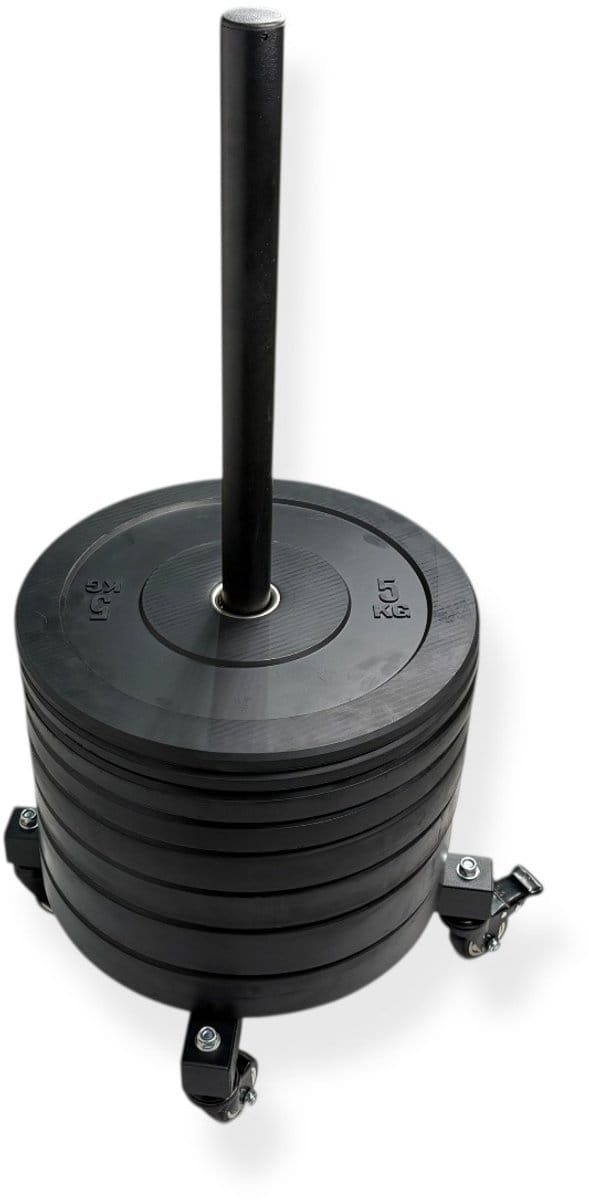 Padisport Movable Vertical Plate Rack Met Bumper Plates - Halterrek