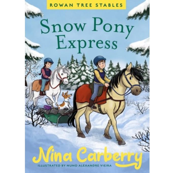 Rowan Tree Stables 3 - Snow Pony Express - Nina Carberry