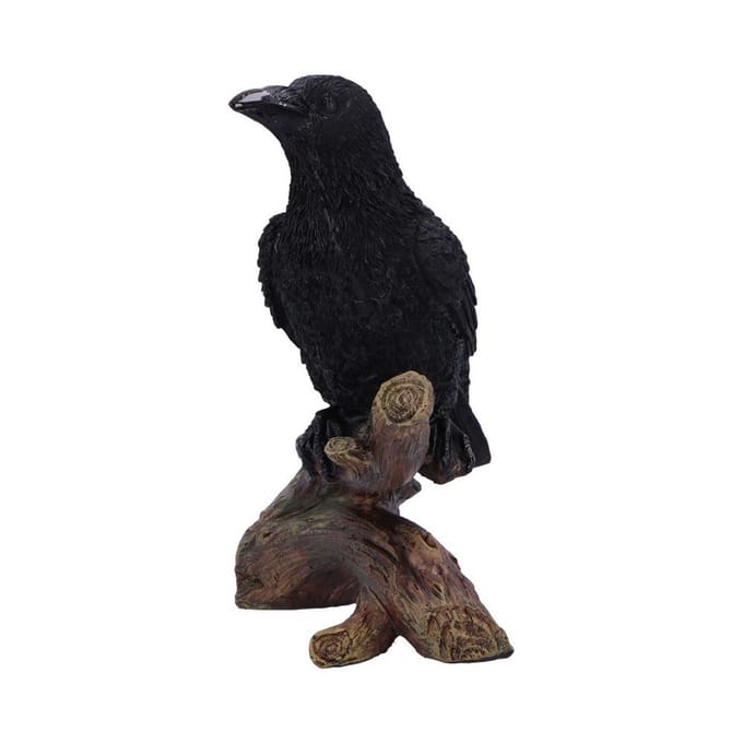 Nemesis Now - Gothic beeld - Ravens Perch - voor Geen - zwart