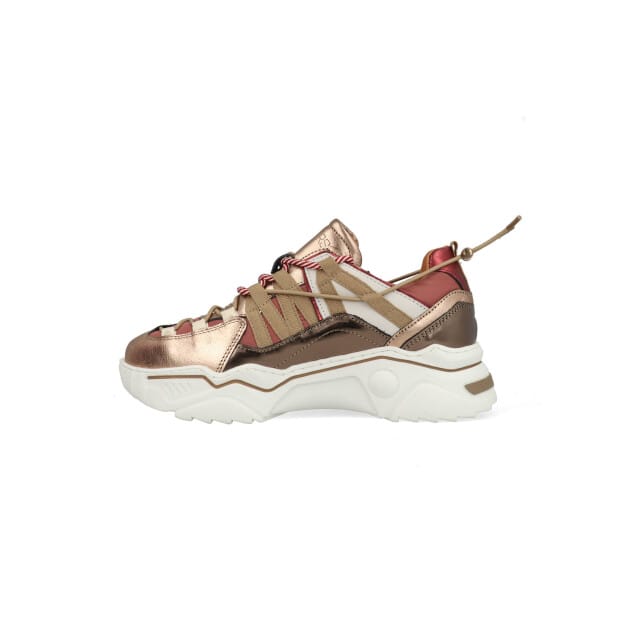 DWRS Orion J6870-09-7058 Bronze / Bordeaux Rood -37