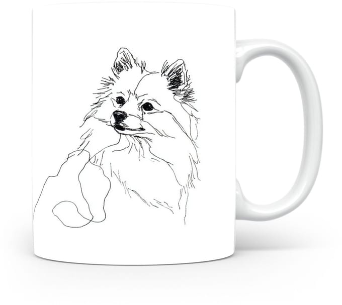Beker Dwergspits / Pomeriaan Kleinspitz