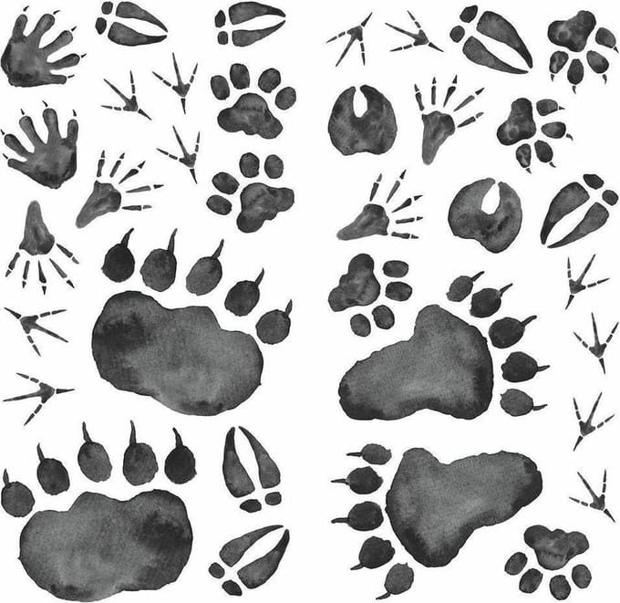 Roommates Muurstickers Animal Tracks Vinyl 70 Stuks