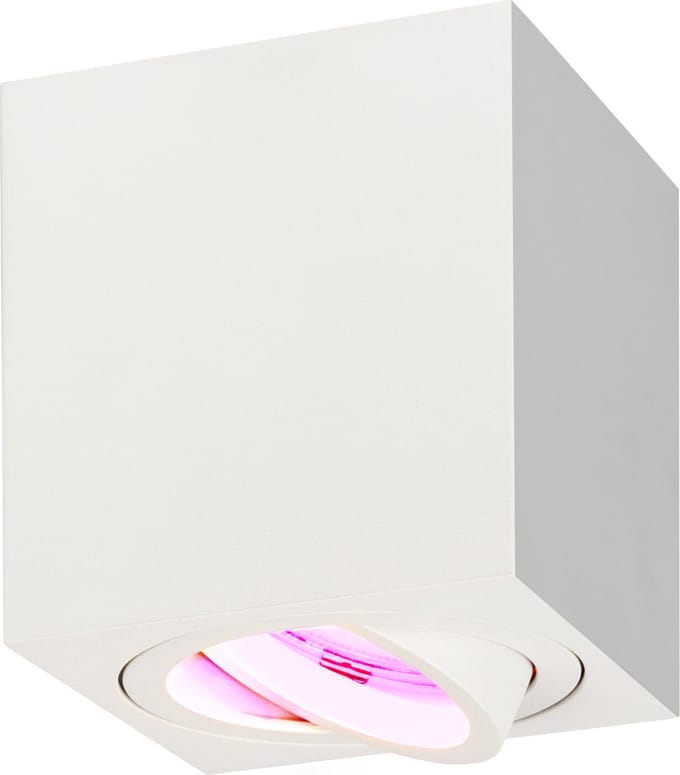 Ledvion - LED Opbouwspots - Dimbaar - 3W - Wifi - App