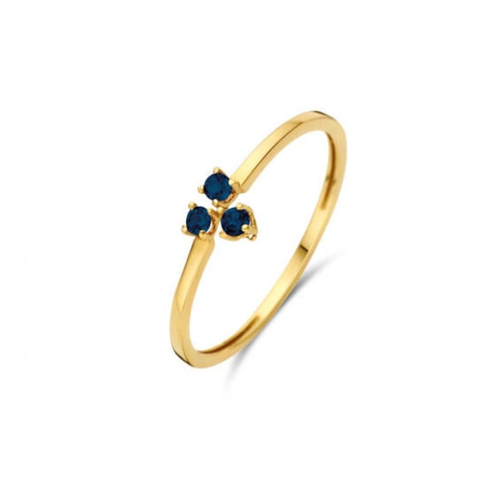 Jackie JKR23.364 Dames ring Goud 1mm 14 Karaat Goud 53