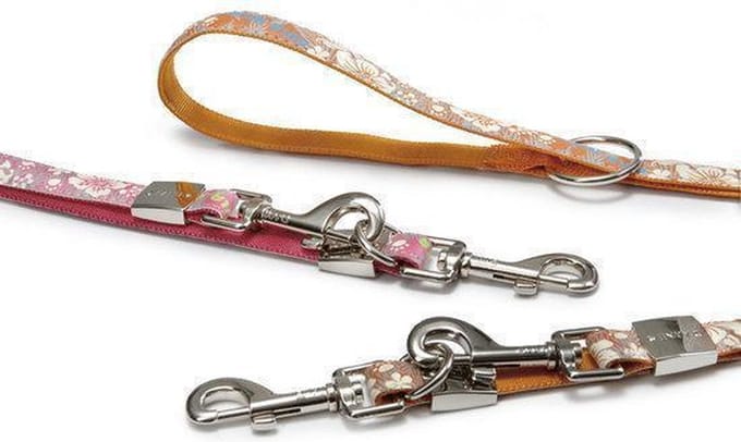 Beeztees Envy Dressuurlijn hond Hula Hula. Oranje 200 cm